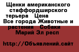 Щенки американского стаффордширского терьера › Цена ­ 20 000 - Все города Животные и растения » Собаки   . Марий Эл респ.